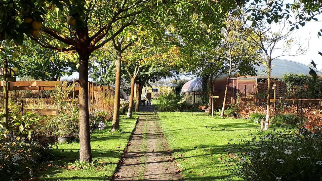 Pipowagen Overnachting Het Houten Huis Zaltbommel Exterior foto